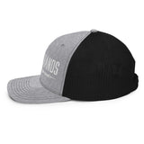 The Local Brands Mesh Trucker Cap